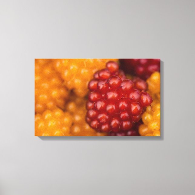 Very Berry Canvas Print (Front)