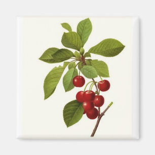 'Very Cherry' Magnet