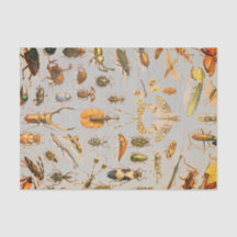 VERY COOL INSECT Tissue Paper