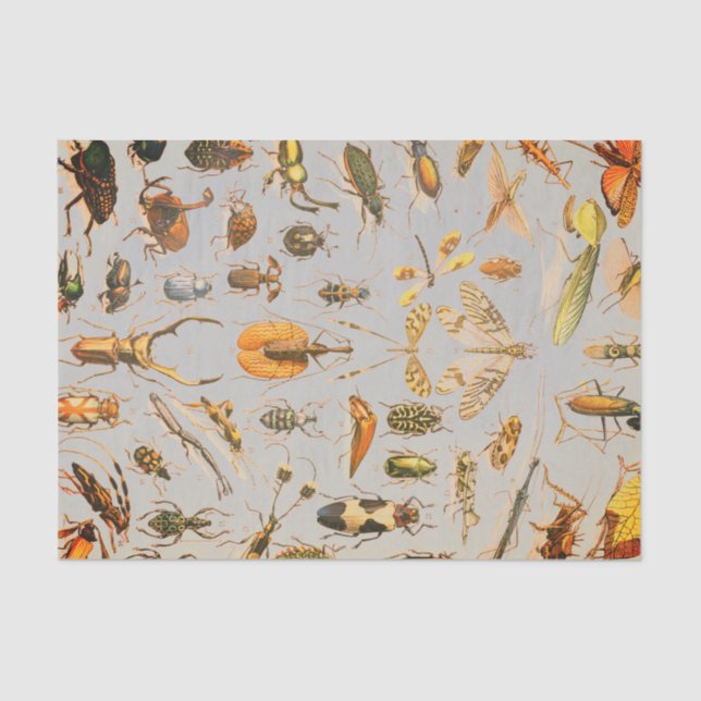 VERY COOL INSECT Tissue Paper (Front)