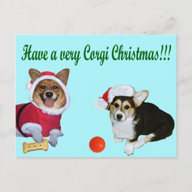 Very Corgi Christmas M & G Turquoise Postcard (Front)