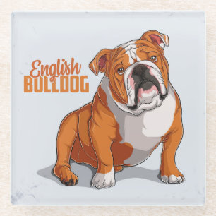 Very Cute and Colourful English Bulldog Sketch Glass Coaster