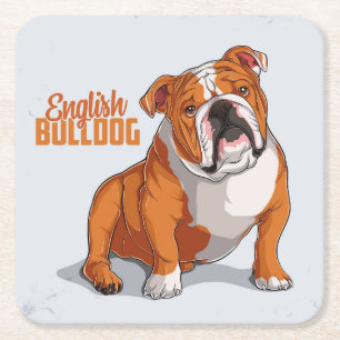 Very Cute and Colourful English Bulldog Sketch Square Paper Coaster