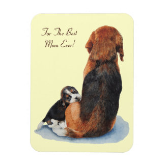 very cute beagle puppy cuddling mom magnet