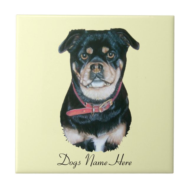very cute dog portrait of pug tile (Front)