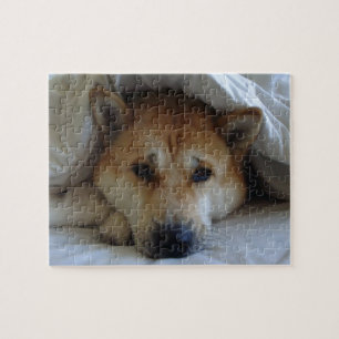 very cute picture of sleeping dog  jigsaw puzzle
