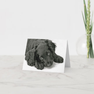 Very Cute Puppy Card