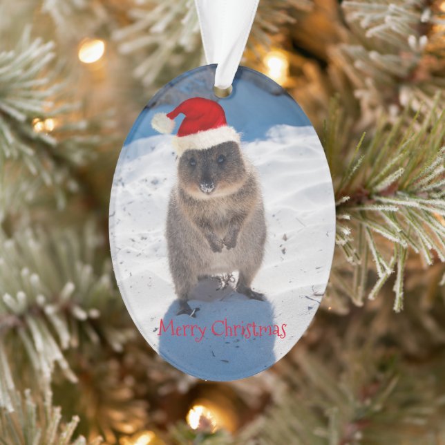 Very cute quokka Merry Christmas Ornament (Tree)