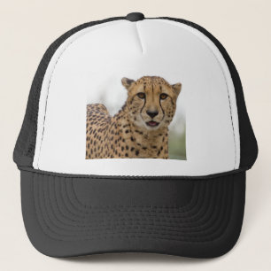Very Cute Wildlife Hat