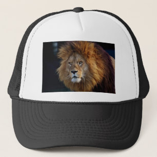 Very Cute Wildlife Lion Hat