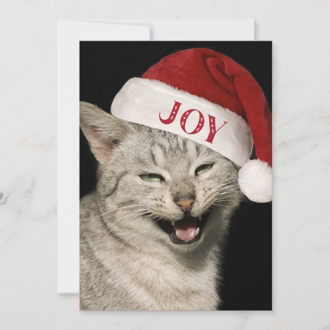 Very Funny  Santa Cat Laugh Photo Christmas Holiday Card (Front)