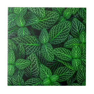 Very Green Leaf Pattern Tile