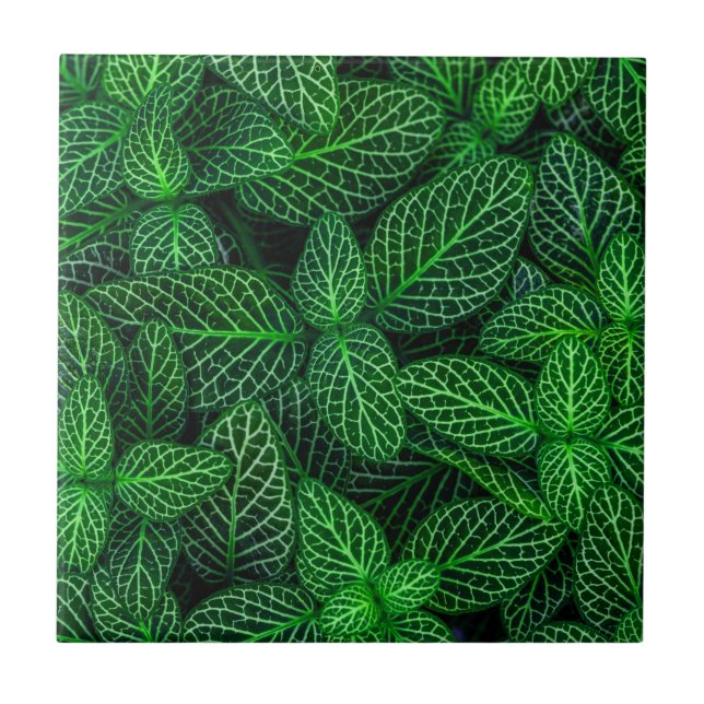 Very Green Leaf Pattern Tile (Front)