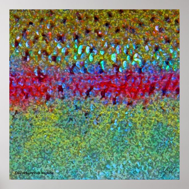 Very Large Rainbow Trout Poster (Front)