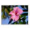 Very Pink Hibiscus Card