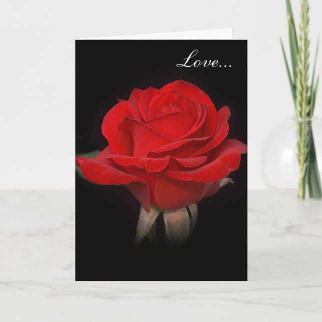 Very Red Rose "Love" Holiday Card (Front)