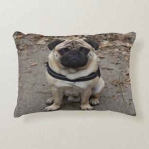 Very Serious Pug Accent Pillow