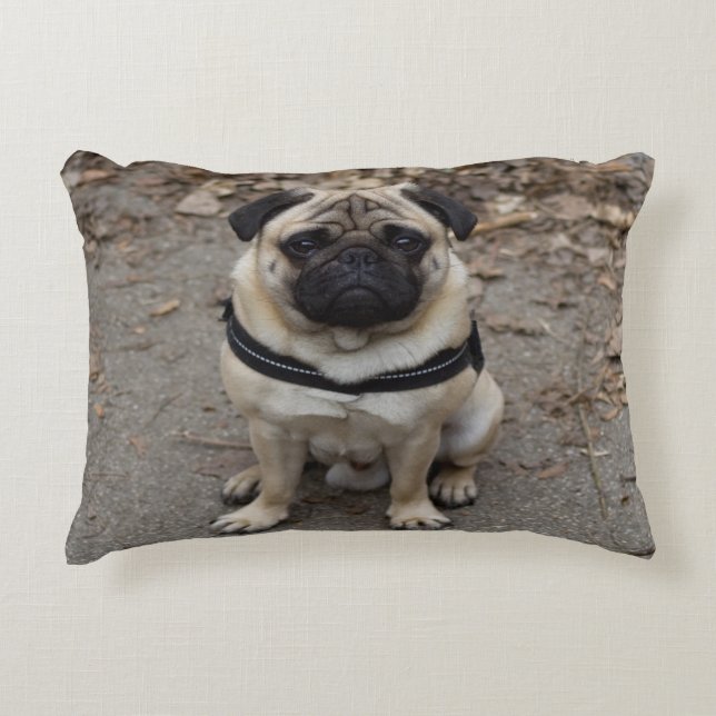 Very Serious Pug Accent Pillow (Front)