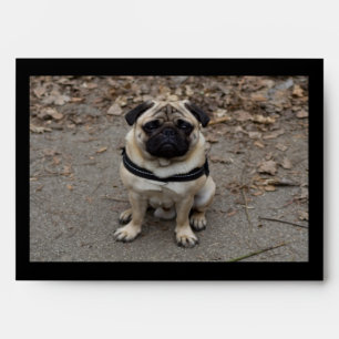 Very Serious Pug Envelope