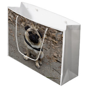 Very Serious Pug Large Gift Bag