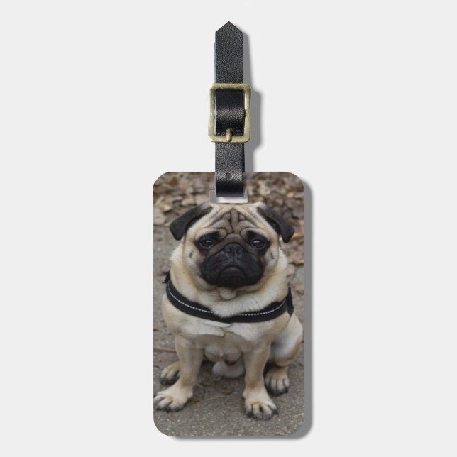 Very Serious Pug Luggage Tag (Front Vertical)