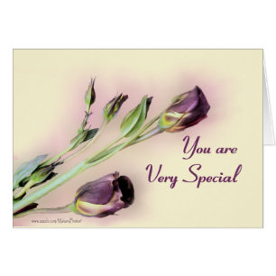 Very Special blank-customize any occasion