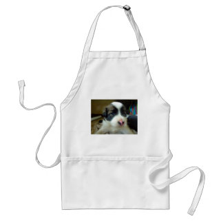 Very Young Puppy Looking Cute Standard Apron