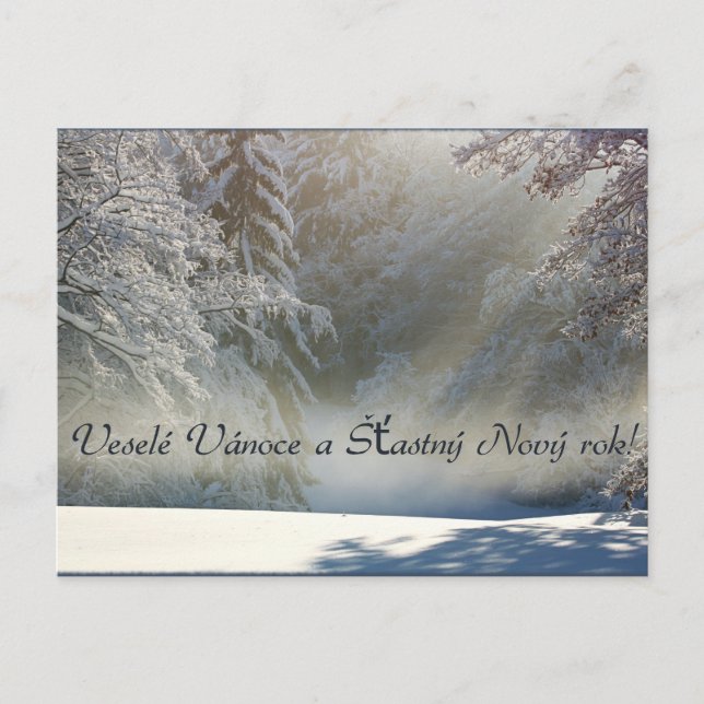 Veselé Vánoce a Šÿastný Nový rok ! Carte postale (Devant)