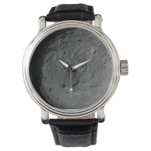 Vesta Asteroid Watch