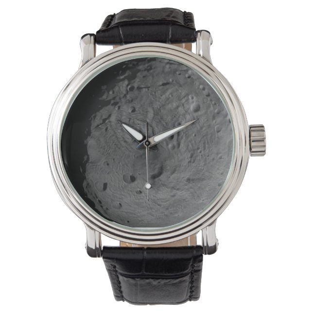 Vesta Asteroid Watch (Front)