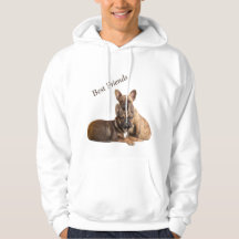 Amis Bouledogues Français French Bulldog