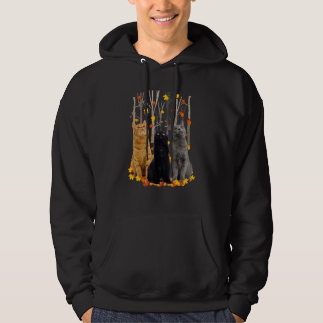 Veste À Capuche Bonjour Automne Maple Cats Leaf Fall Heart Cat (Devant)