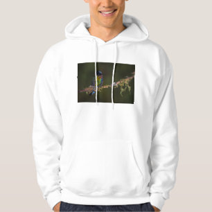 Veste À Capuche Colibri