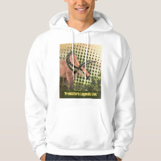 Veste À Capuche dinosaure