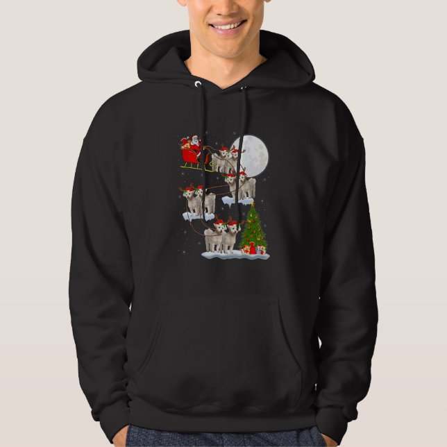 Veste À Capuche Drôle Père Noël équitation Bichon Frise Lune Noël  (Devant)