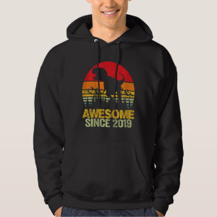 Veste À Capuche Enfants 3e anniversaire garçon Dinosaur Rex 3 ans
