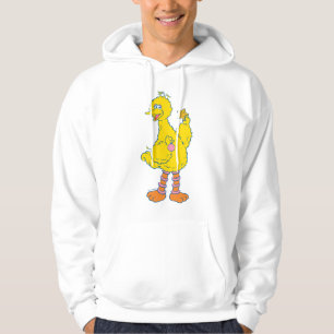 Veste À Capuche Gros Oiseaux tenant des ornements de Noël