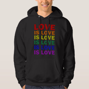 Veste À Capuche I Promise To Teach Love LGBT-Q Pride Proud Ally Te