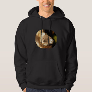 Veste À Capuche Koala Bear Australie Amour