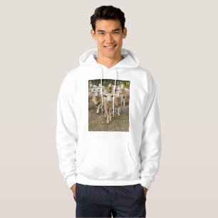 Veste À Capuche Les Moutons Viennent Marcher À Hurrah,