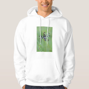 Veste À Capuche Libellule perchée sur l'herbe, Canada
