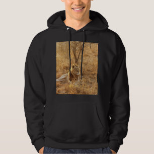 Veste À Capuche Lion