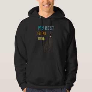 Veste À Capuche Mon Meilleur Ami Est Un Laboratoire De Récupérateu