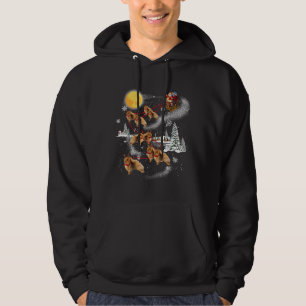 Veste À Capuche Père Noël équitation Poméranienne Noël Pyjama Fami