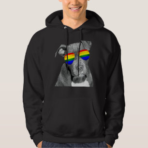 Veste À Capuche Pitbull Gay pride Chien Vêtements Lgbt Arc-en-ciel