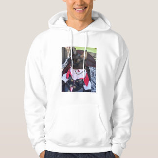 Veste À Capuche Sweatshirt de Freddie