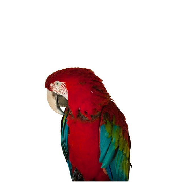 Veste À Capuche This elegant t-shirt design (Créateur téléchargé)