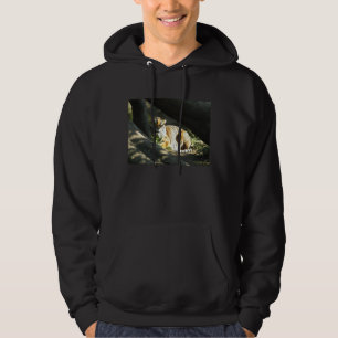 Veste À Capuche Tiger Catnap