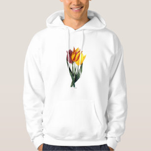 Veste À Capuche Tulipe (Tulipa Gesneriana)
