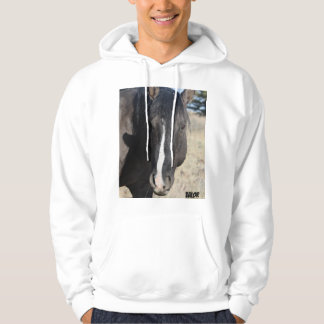 Veste À Capuche Valeur S Steens